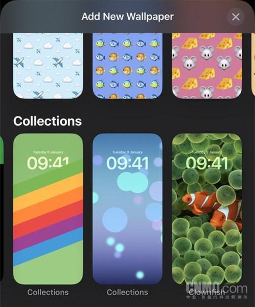 iPhone小丑鱼壁纸
