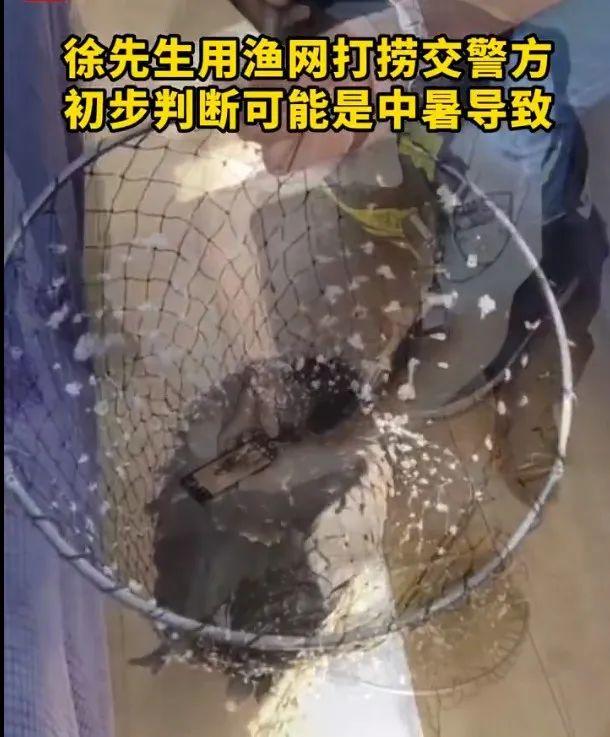 图片来源:江苏新闻官方微博