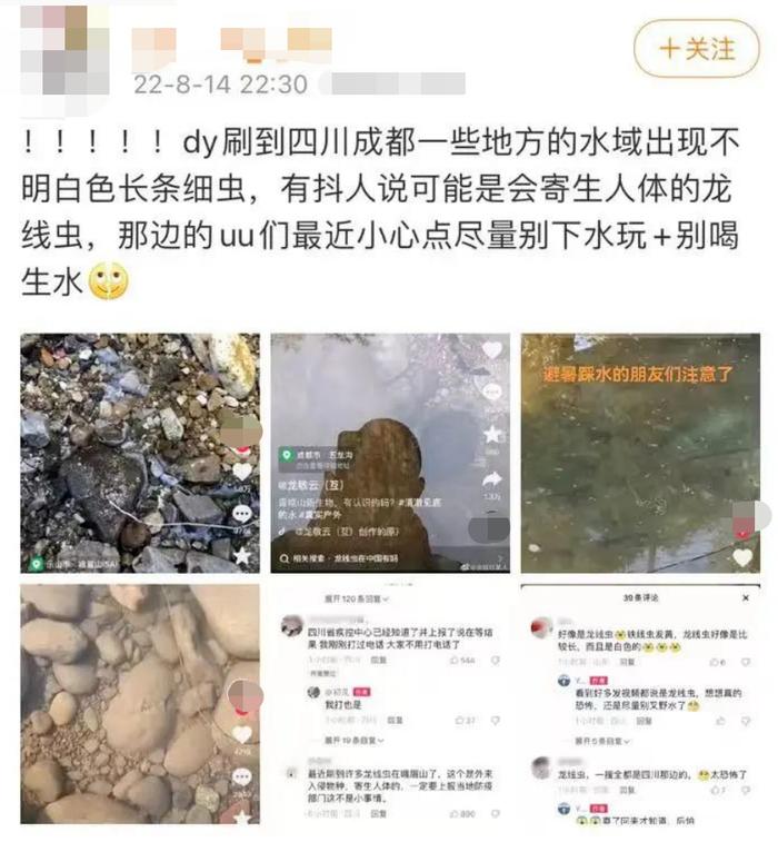 特想问 | 谈虫色变？冲上热搜的“龙线虫”到底是什么虫？