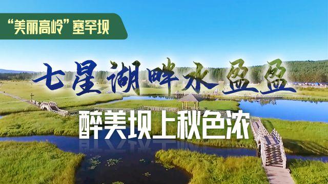 “美丽高岭”塞罕坝｜七星湖畔水盈盈 醉美坝上秋色浓