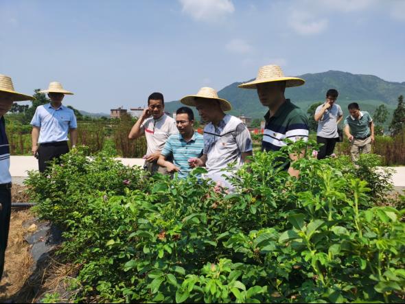 深河共建 圳在帮扶 | 驻镇帮扶这一年，漳溪乡都有哪些改变？