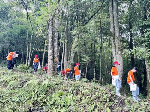 大熊猫国家公园 —“保护生态环境,共建自然学校”志愿者活动