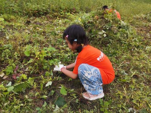 大熊猫国家公园 —“保护生态环境,共建自然学校”志愿者活动