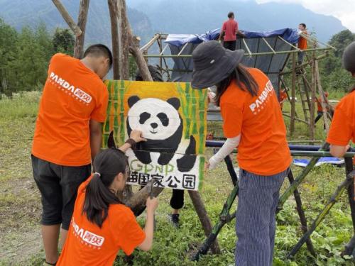 大熊猫国家公园 —“保护生态环境,共建自然学校”志愿者活动