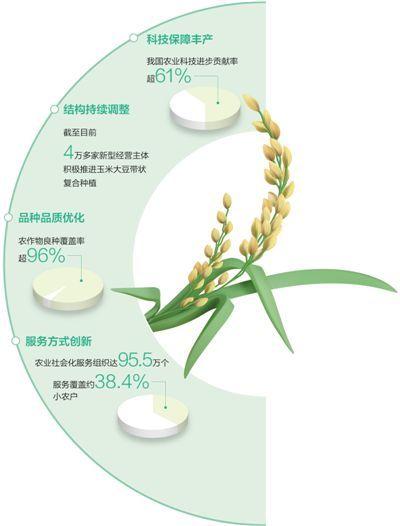 全年粮食夺取丰收有支撑：秋粮面积稳中有增 大部地区长势好于上年