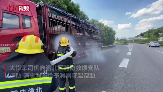 冰墩墩都被晒黑了……这些地方高温还将持续10天