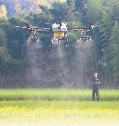 全年粮食夺取丰收有支撑：秋粮面积稳中有增 大部地区长势好于上年