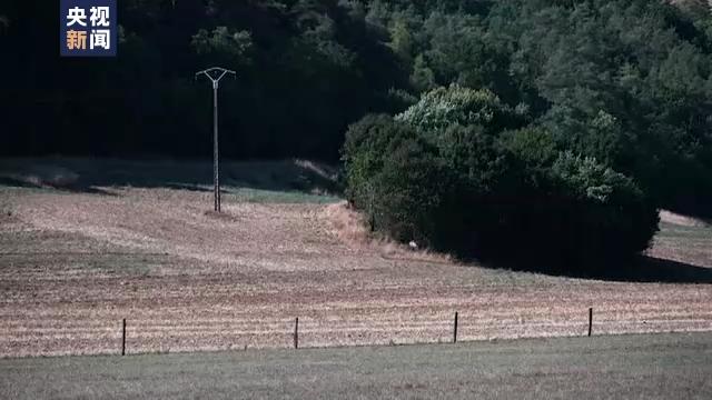 法国部分河流几近干涸 农民担忧收成锐减