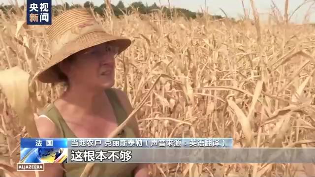 法国部分河流几近干涸 农民担忧收成锐减