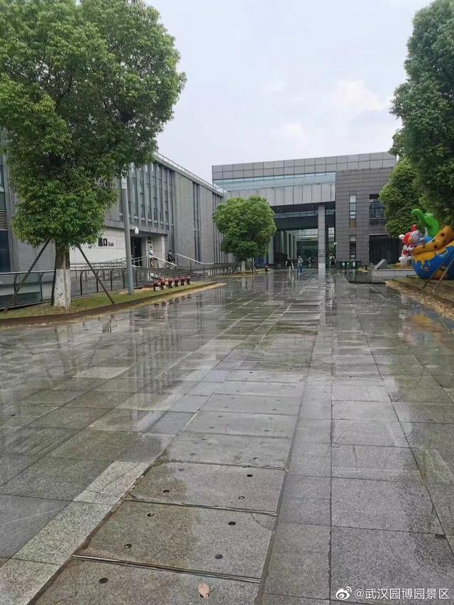 武汉终于下雨了！网友：“我怀疑龙王只是打了一个哈欠”