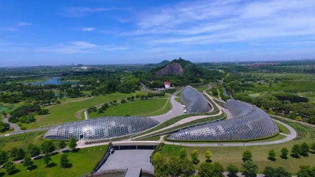 中国医师节将至，辰山植物园和古猗园对医护工作者实行免票入园制度