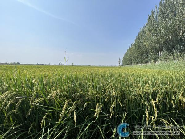 宁夏渠首管理处：龙门桥里保丰年