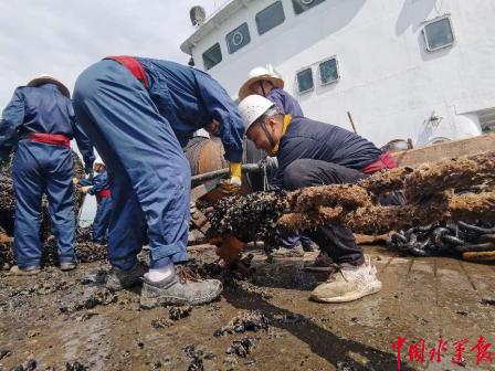 战高温 斗酷暑 青岛航标处基本完成岚山辖区2022年度换标作业任务