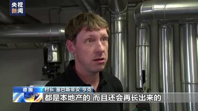 能源价格高涨 德国一村庄考虑燃木取暖