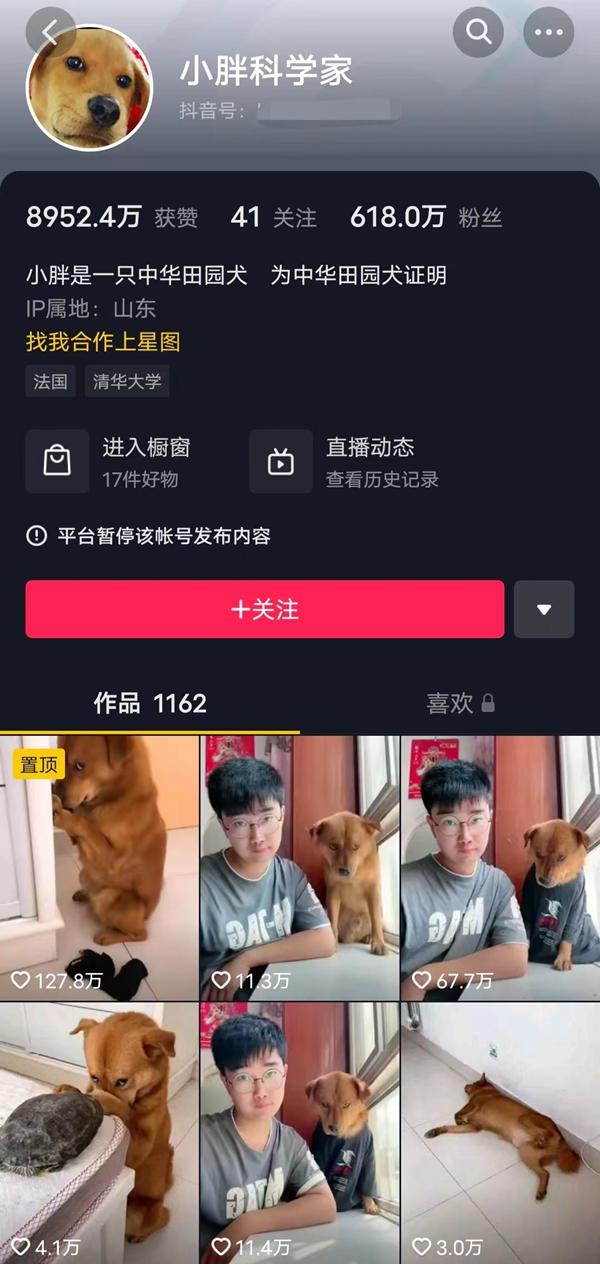 (小胖科学家账号截图)