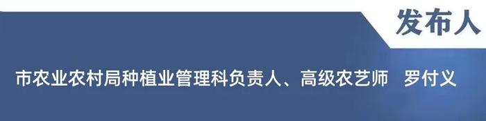 答记者问丨 “吨半粮”创建下一步怎么走？德州有这“7招”！