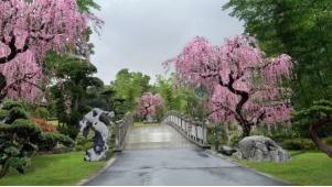 梅林花海，陇上田园，梅陇生态公园迎来升级改造丨环城公园说⑦