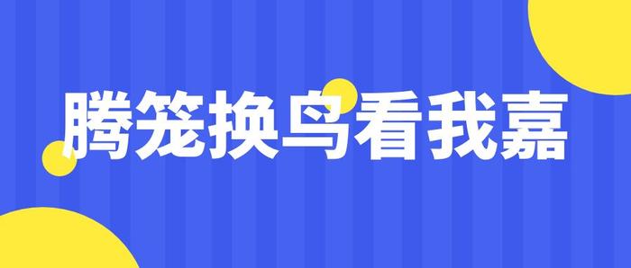 从不足100万元到650万元，看桐乡如何施展“亩产魔术”