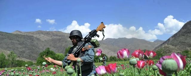 孙迦陵：阿富汗没有沦为失败国家，是塔利班执政一年的最大政绩