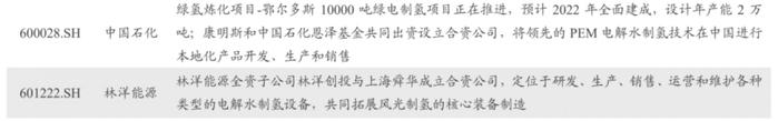 制氢环节获政策利好加持！龙头股暴涨近17%，产业链受益上市公司有这些