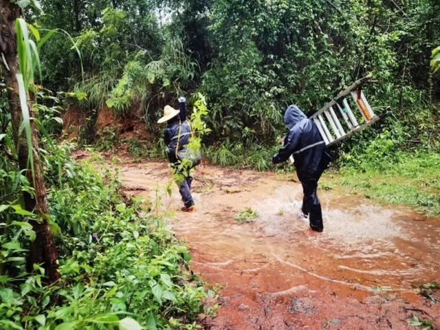 灭山火、抗疫情、防台风、战高温——致敬逆行的他们！