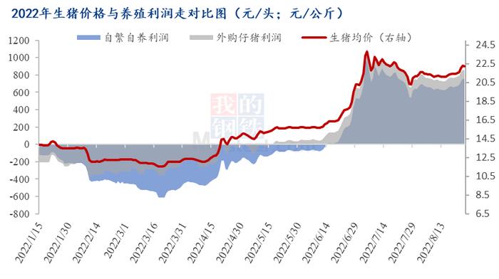 Mysteel解读：探究生猪产区市场供需变化-河南市场走访