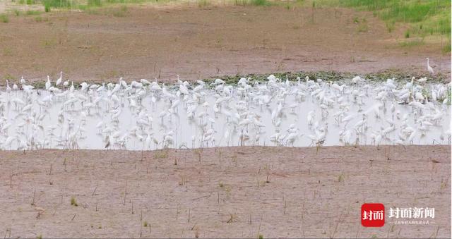 鄱阳湖旱情调查：40天缩水69%，政府拟投资435亿建2331个水利项目