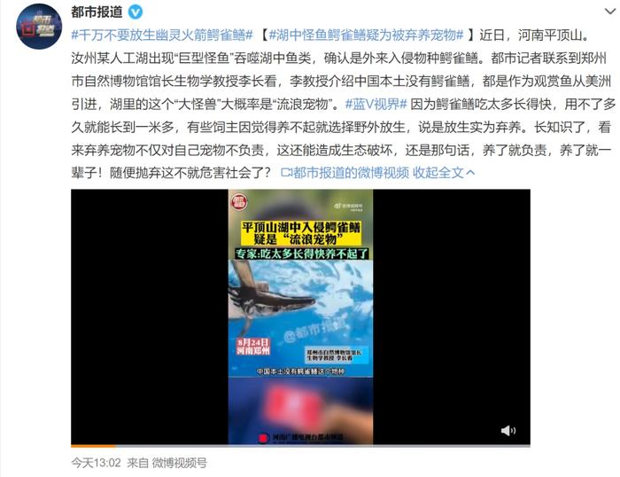 全网围观，抽干湖水找的“怪鱼”抓到了！为什么“非抓不可”？