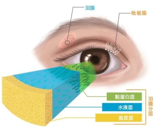 眼睛疲惫时，冷敷好还是热敷强？