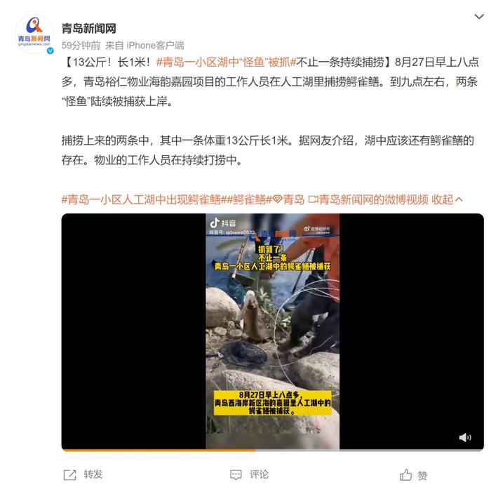 全网围观，抽干湖水找的“怪鱼”抓到了！为什么“非抓不可”？