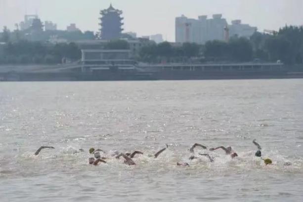 “铁喇叭”梅南生的游泳故事：长江水让我两度“重生”