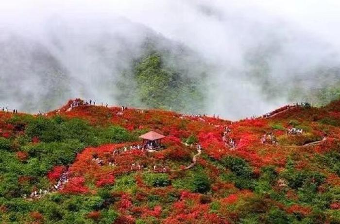 花炮女神——致一河诗画满城烟花的美丽浏阳