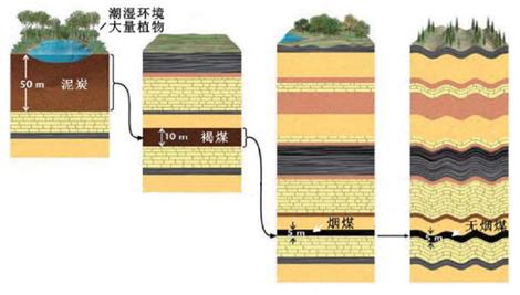 煤和炭的区别是什么？院士解析→