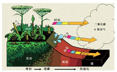 煤和炭的区别是什么？院士解析→