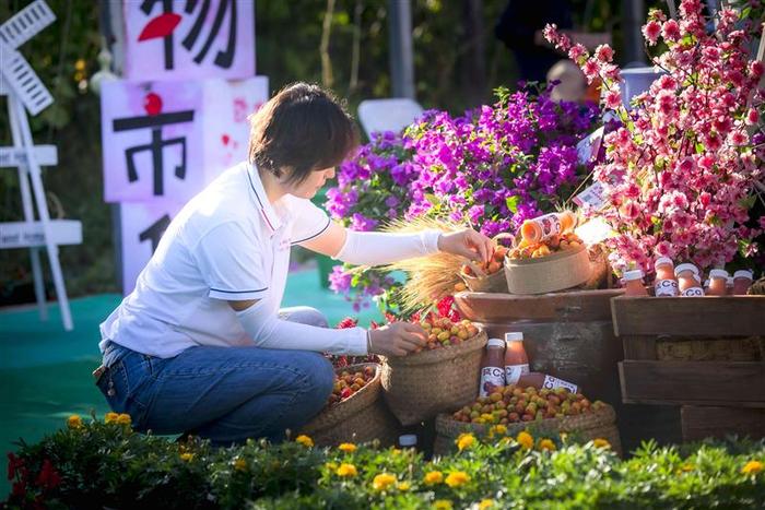 北京平谷东高村镇3万斤欧李采摘上市