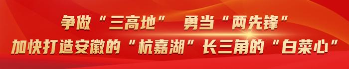 马鞍山市未成年人保护工作委员会第二次全体成员会议召开