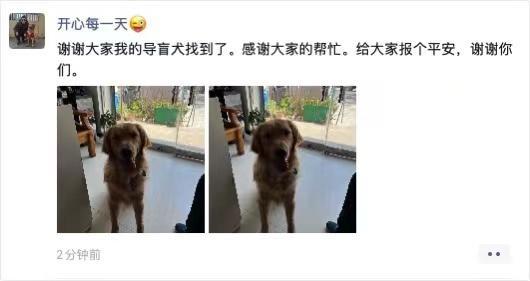 盲人申请三年才领到的导盲犬被人顺走后找回，当事人：狗在派出所取回，状态还好