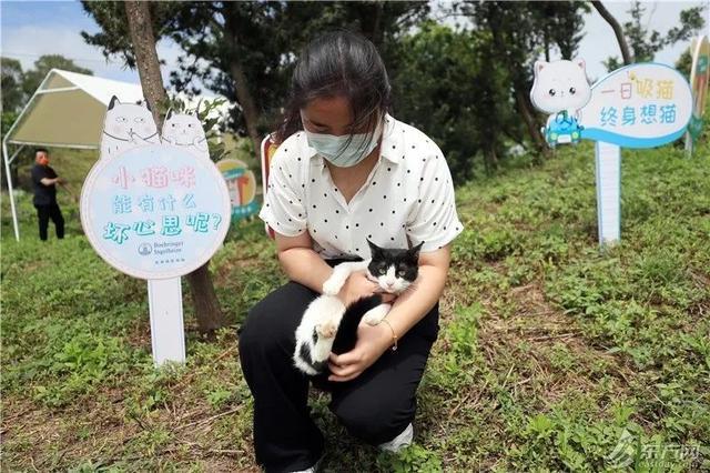 上海首个城市流浪猫管理中心和城市流浪动物精细化宣传教育示范基地正式挂牌