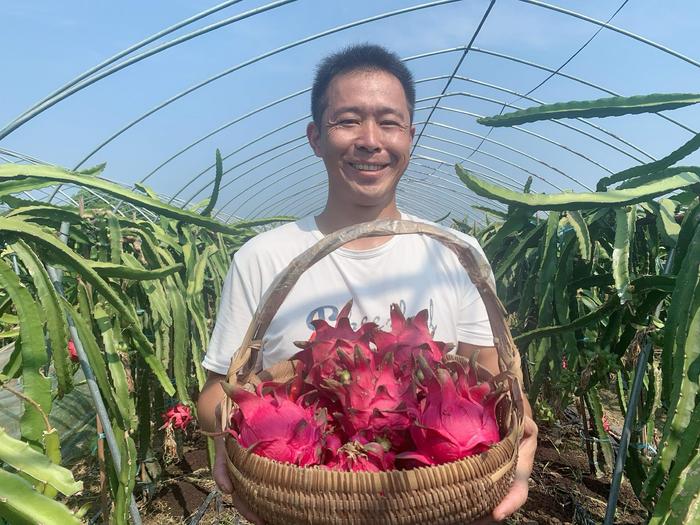 黄山市屯溪区：金秋好时节 瓜果正飘香