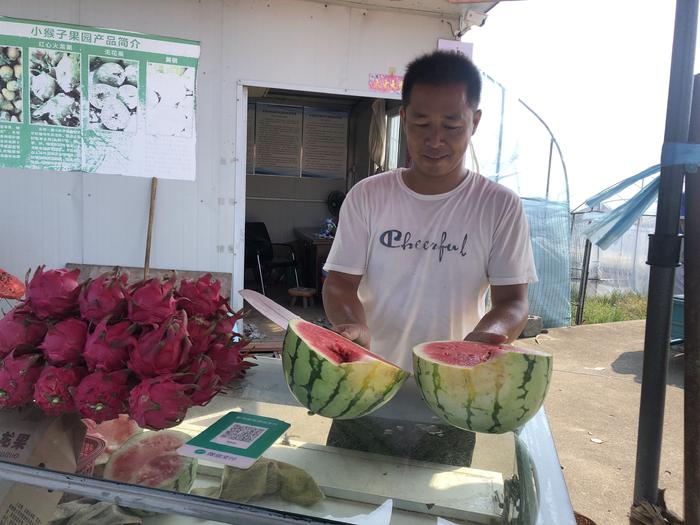 黄山市屯溪区：金秋好时节 瓜果正飘香