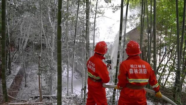 直升机、无人机、机器人、消防炮火速出动……松江佘山的这场演练很震撼