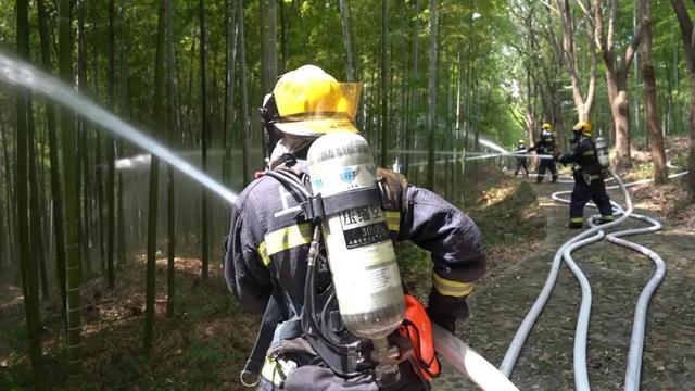 直升机、无人机、机器人、消防炮火速出动……松江佘山的这场演练很震撼