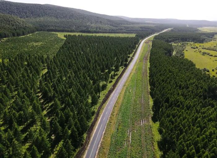 《全国国土绿化规划纲要（2022—2030年）》发布    “十四五”期间全国规划完成造林种草等国土绿化5亿亩