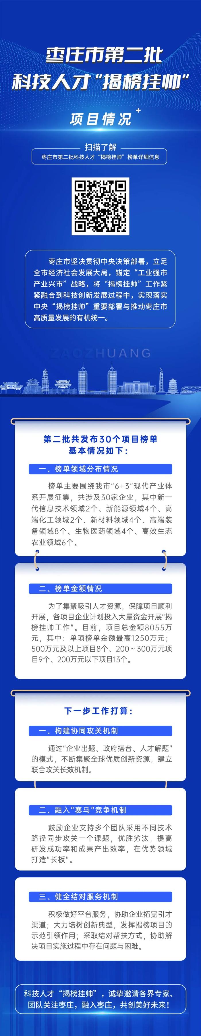 图解|枣庄市第二批科技人才“揭榜挂帅”项目情况