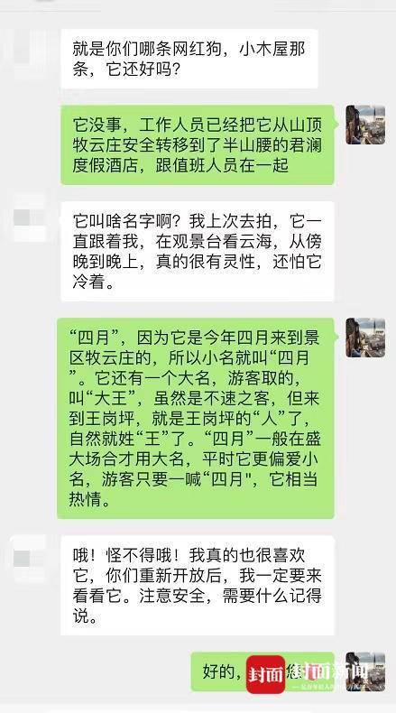 王岗坪景区那只“网红狗”怎么样了？相关负责人：能吃能睡 一切平安｜“9·5”泸定地震