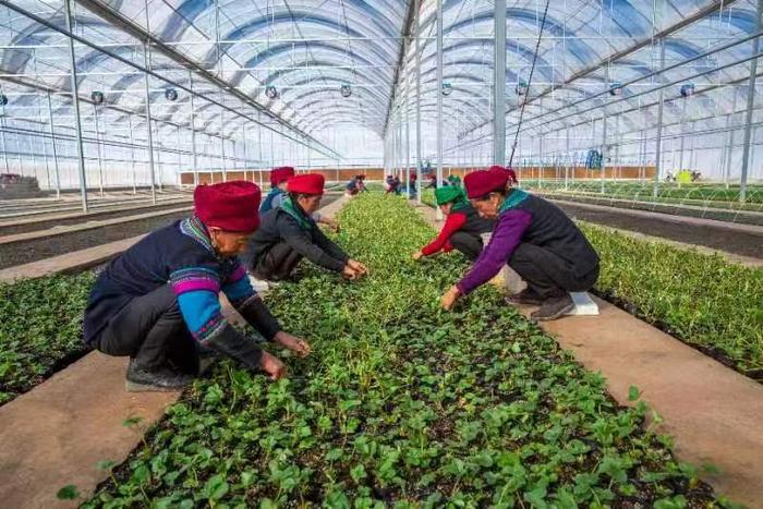 农发行四川省分行大力支持少数民族地区产业发展