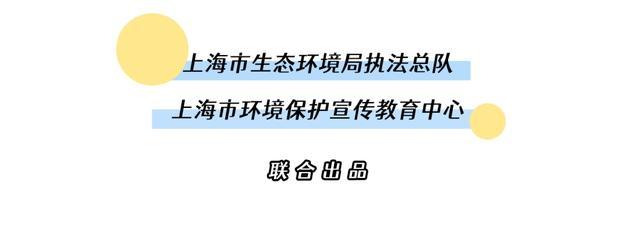 E案E说｜某电厂虚报温室气体排放报告案