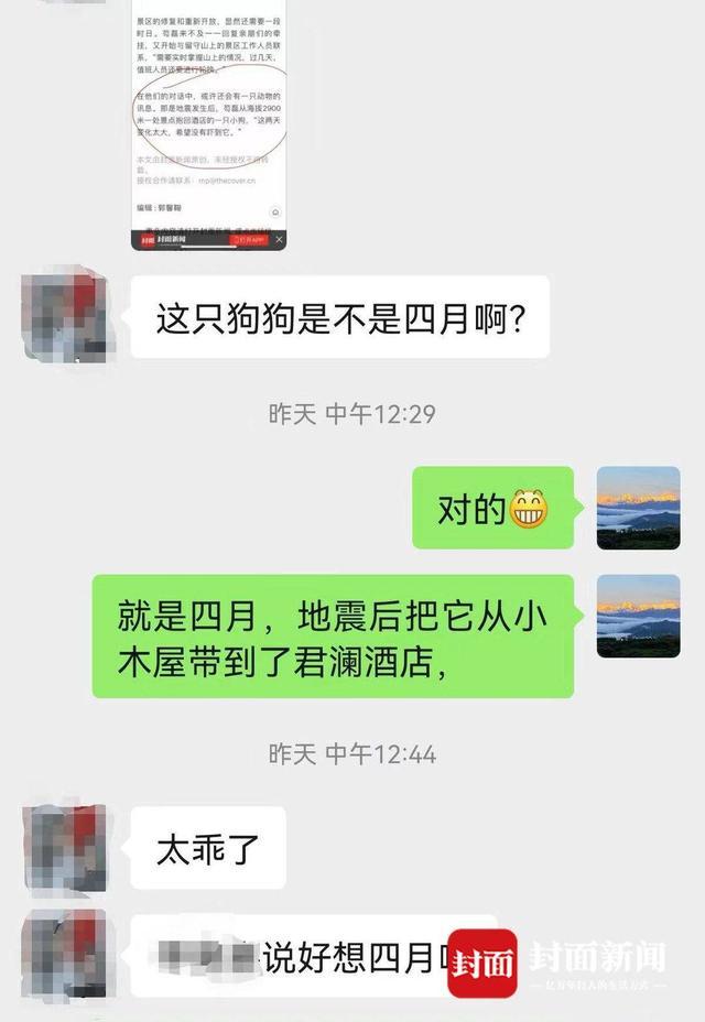 王岗坪景区那只“网红狗”怎么样了？相关负责人：能吃能睡 一切平安｜“9·5”泸定地震