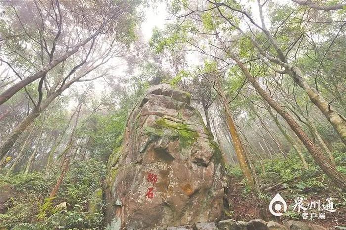 泉州“狮”话丨永春有个狮峰村：山林狮石成就福地 敬畏自然知足惜福