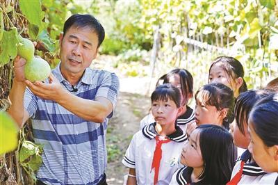 怀柔区宝山镇中心小学校长任龙：让孩子们像葫芦娃一样努力向上